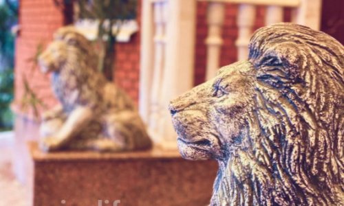 Специализированный комплекс «Захарково»