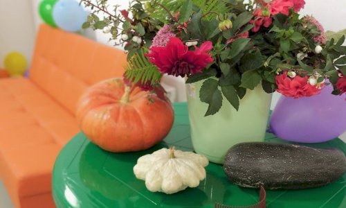 Частный пансионат Заворово - 7