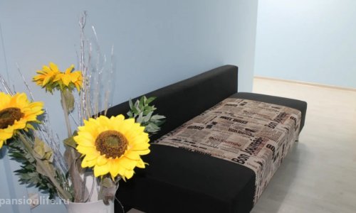 Пансионат Истра цены