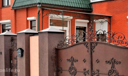 Дом престарелых «Дедовск» - фото