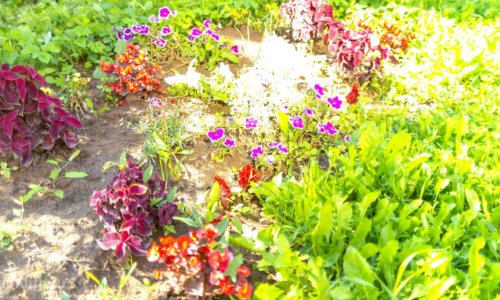 Дом престарелых Ногинск GreenDay - 5