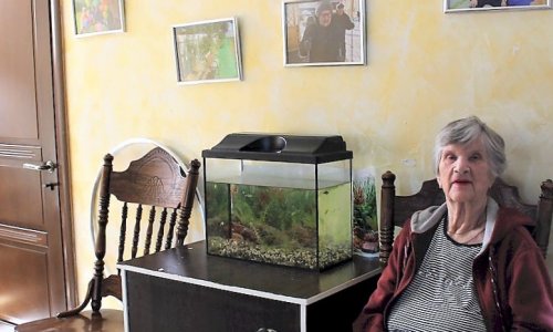 Дом престарелых Новинки отзывы