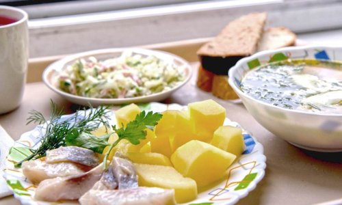 Пансионат для пожилых Ащерино цены