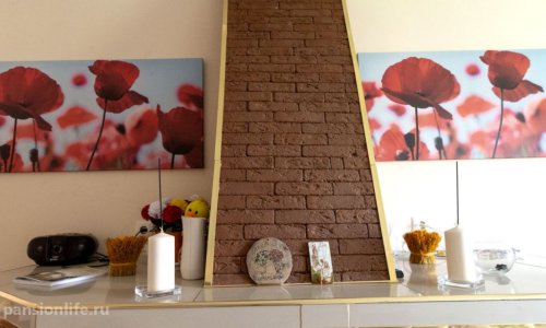 Пансионат для пожилых людей GreenDay Балашиха отзывы