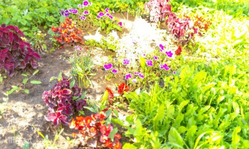 Пансионат для пожилых людей GreenDay Балашиха - 5