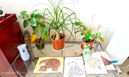 Пансионат GreenDay в Красновидово цены