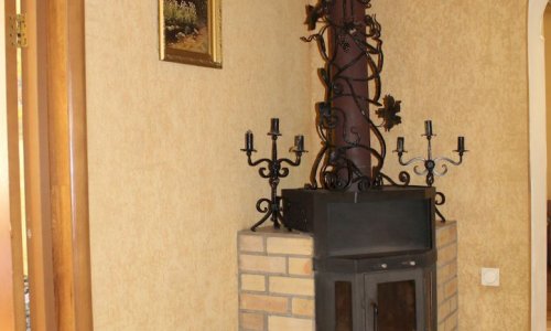 Дом престарелых «Новогорск» - 11