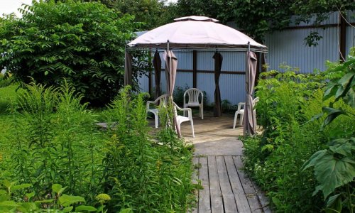 Пансионат GreenDay Кокошкино - 7