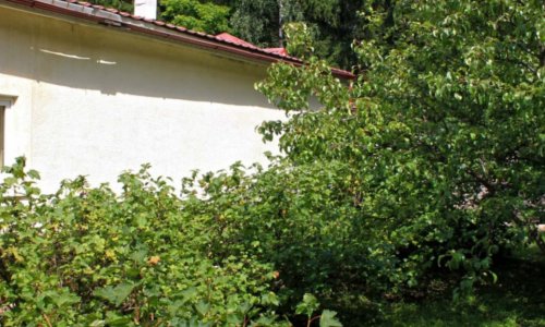 Дом престарелых Зеленоград отзывы