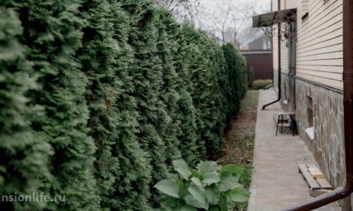 Пансионат «Родной очаг» в Щелково