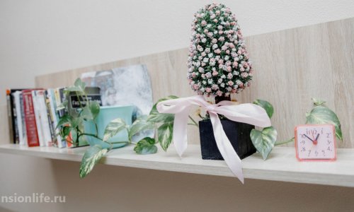 Пансионат «Родной очаг» в Щелково - 20