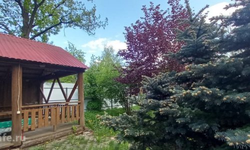 Пансионат Одинцово Дубки - фото