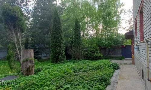 Пансионат Одинцово Дубки - 8