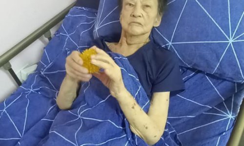 Пансионат Одинцово Дубки - 10