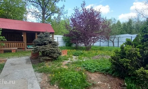 Пансионат Одинцово Дубки - 11