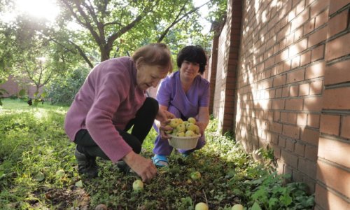 Пансионат Древо Жизни в г. Красногорск отзывы