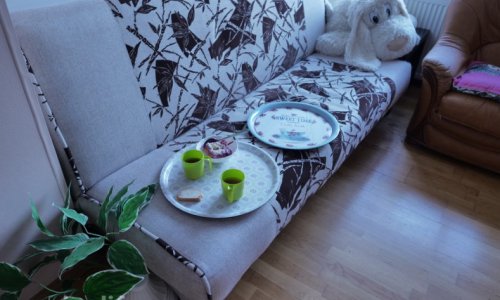 Пансионат Древо Жизни в г. Красногорск - 15