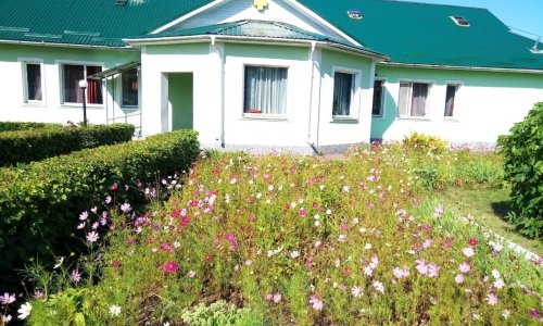 Пансионат Желтый крест в Буньково - фото