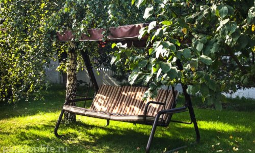 Пансионат Доброта в Новокосино отзывы