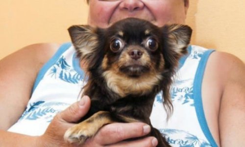 Пансионат Доброта в Новокосино - 17