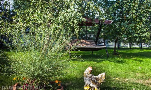 Пансионат Доброта в Новокосино - 18