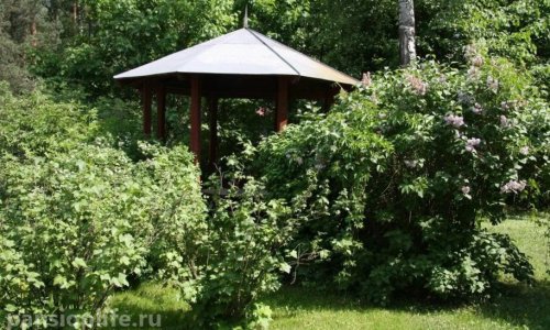 Частный пансионат «Быково» цены