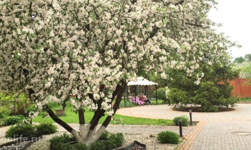 Пансионат «Родник» Королев-Загорянский