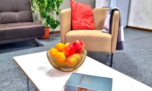 Пансионат «Родник» Видное-Дроздово