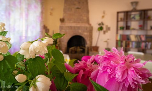 Пансионат Ника в Улиткино цены