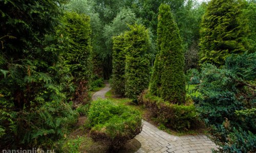 Частный пансионат «Линия жизни» Дубрава 19 - 7