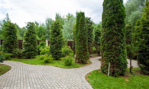 Частный пансионат «Линия жизни» Дубрава 19 - 8