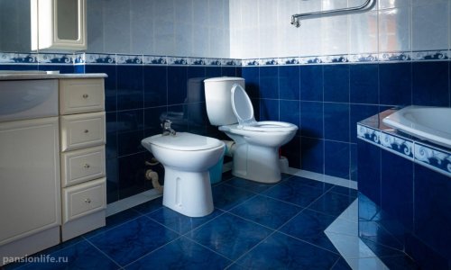 Пансионат «Ника» в Купавне цены