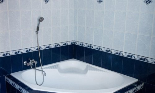 Пансионат «Ника» в Купавне - 12