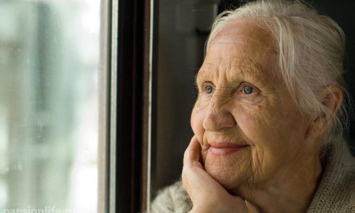 Пансионат «Ника» Киселихе - 12