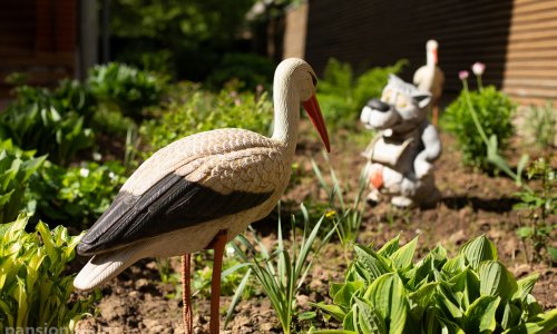 Пансионат «Линия жизни» Марфино - 7