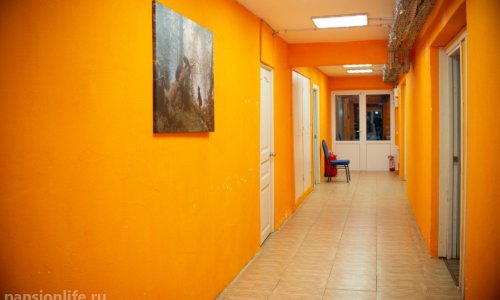 Пансионат «Гераника» Левковская гора - 13