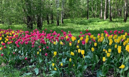 ГБУ Социальный Дом «Обручевский» Филиал «Геронтологический центр «Тропарёво» отзывы