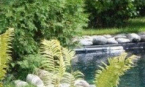 «Пансионат и точка» в Бутово цены