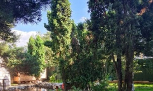 «Пансионат и точка» в Бутово - 7