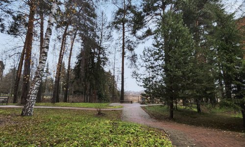 Пансионат для престарелых «Друзья» в Солнечногорске цены