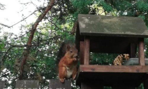 Пансионат «Источник жизни» - 11