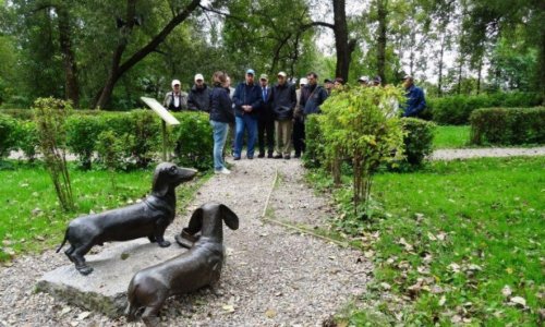 ГБУ Социальный дом «Данки» отзывы