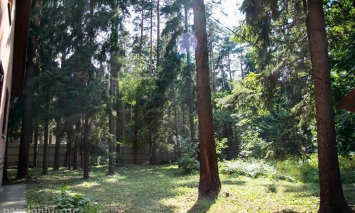 «Осень жизни» пансионат в Королеве цены