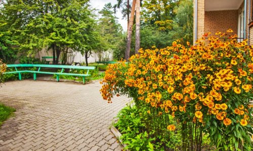 Пансионат Доброта в Ильинском - 6