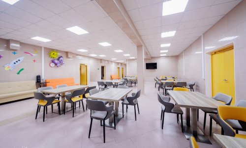 Пансионат Мирника Старая Купавна