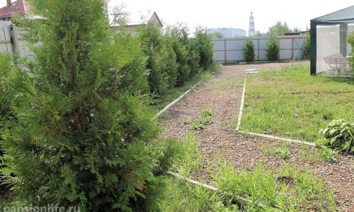 Пансионат Ховрино - 6