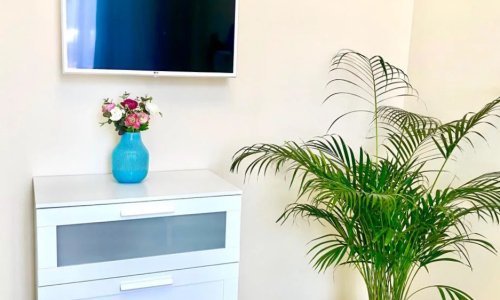 Пансионат Маяк в Раменском - 5