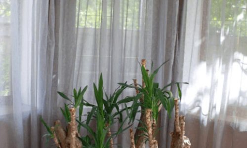 «Берегиня» в Нарофоминске цены