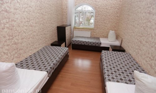 Пансионат «Осень жизни» Грибки - 5