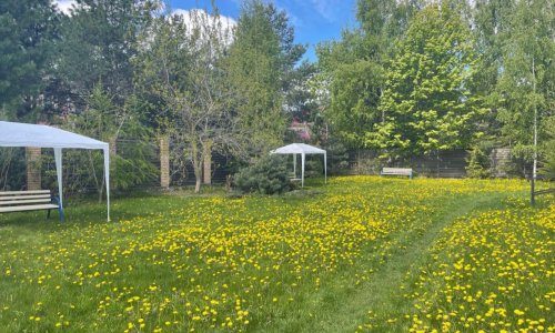 Пансионат «Гармония жизни» в Опалихе ул. Тенистая отзывы